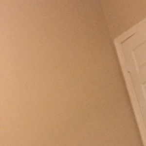 Meet your Posher, Destiny